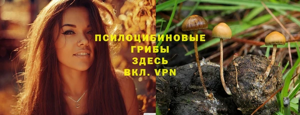 марки lsd Алексеевка