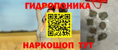 индика Ярцево