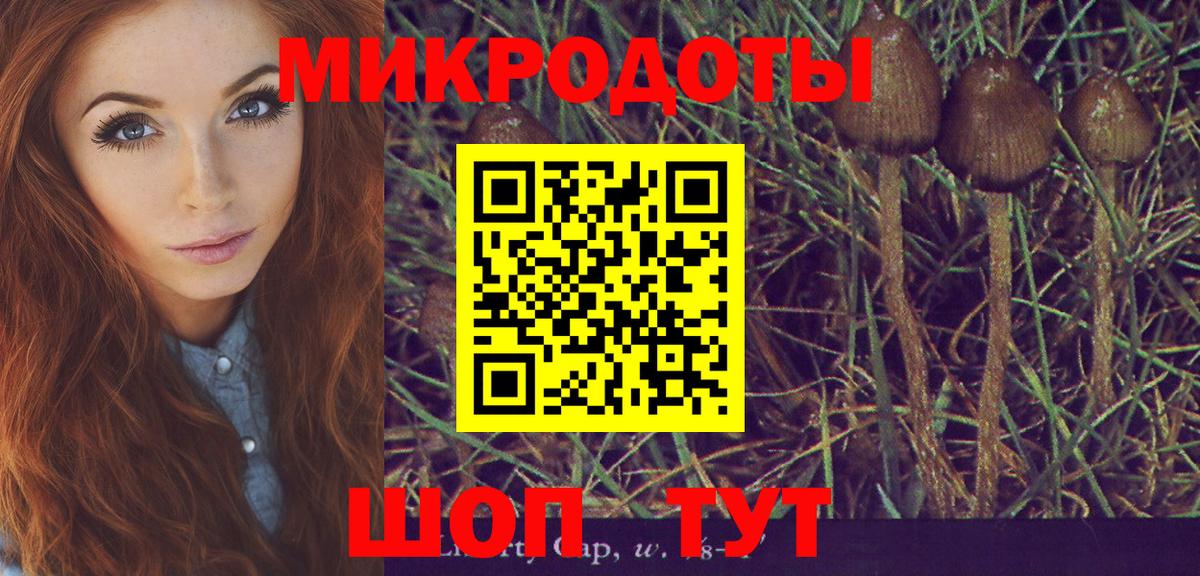 Галлюциногенные грибы Psilocybe Октябрьский